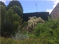 2f06e7bf-20160520 pirakanta.jpg